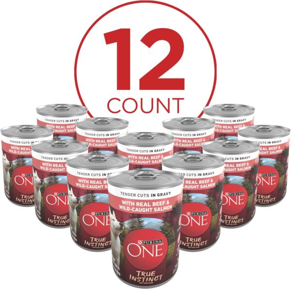 Purina ONE High Protein Wet Dog Food True Instinct Tender Cuts in Dog Food Gravy With Real Beef and Wild-Caught Salmon - (Pack of 12) 13 oz. Cans - Image 2