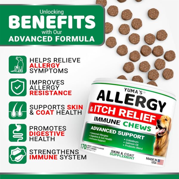 Dog Allergy Relief Chews - Dog Itching Skin Relief Treatment Pills - 170 Treats - Itchy and Paw Licking - Anti-Itch - Dry Skin & Hot Spots Omega 3 Fish Oil Skin & Coat Supplement - Beef Liver Flavor - Image 2