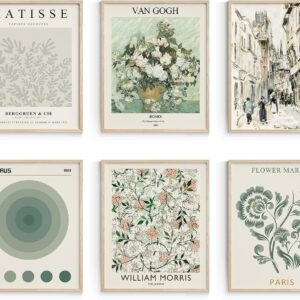 Habseligkeit Sage Green Master Wall Art Prints, Abstract Matisse Wall Art Exhibition Posters, Vintage Art Boho Art Prints, Retro Room Decor for Aesthetic Bedroom（8x10inch, Unframed