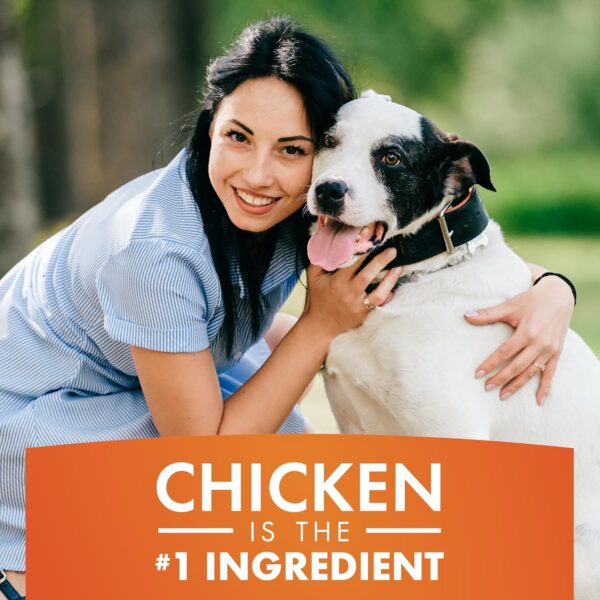 Dog Treats, Chicken Jerky for Dogs, Made with 100% Real Chicken Breast, 16 Ounces, Healthy, Easily Digestible, Long-Lasting, High Protein Dog Treat, Satisfies Dog's Urge to Chew - Image 6