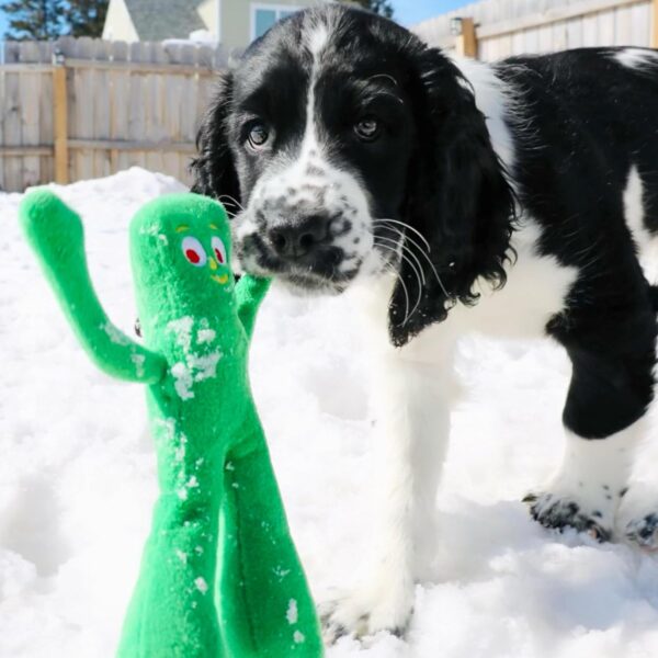 Multipet Gumby Plush Filled Dog Toy, Green, 9 inch (Pack of 1) - Image 2