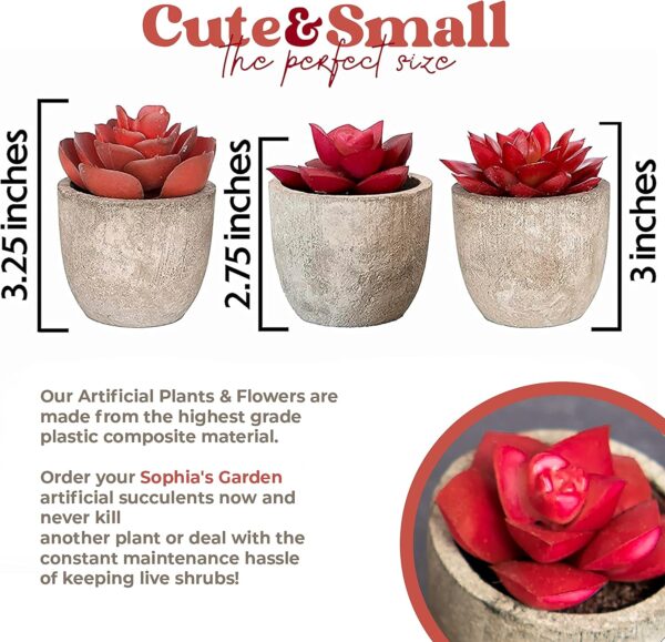 3 Artificial Succulents Plants Artificial Pot Small Fake Plants Bedroom Aesthetic Fake Succulent Plants - Cactus Decor Plants Bedroom Decor Potted Faux Succulents Desk Plant Shelf Decor Living Room - Image 2