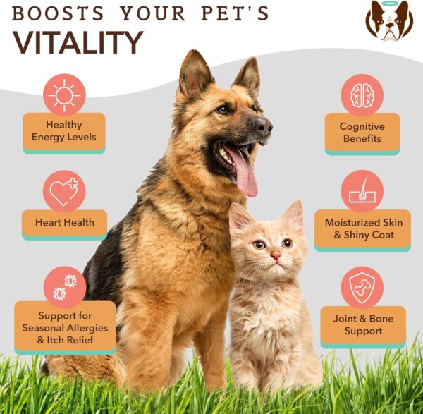 Natural Dog Company Pure Wild Alaskan Salmon Oil for Dogs (16oz) Skin & Coat Supplement for Dogs, Dog Oil for Food with Essential Fatty Acids, Fish Oil Pump for Dogs, Omega 3 Fish Oil for Dogs - Image 3