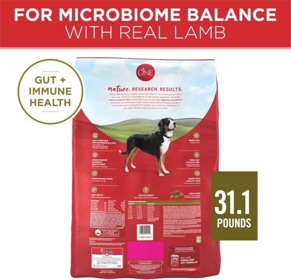 Purina ONE Dry Dog Food Lamb and Rice Formula - 31.1 lb. Bag - Image 7