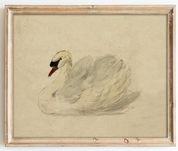 Kizbok Vintage Wall Art Decor Classical Swan Canvas Prints Farmhouse Wall Decor Rustic Watercolor Swan Vintage Art Pictures for Bedroom Bathroom Office Decor(8" x 10"-UNFRAMED)