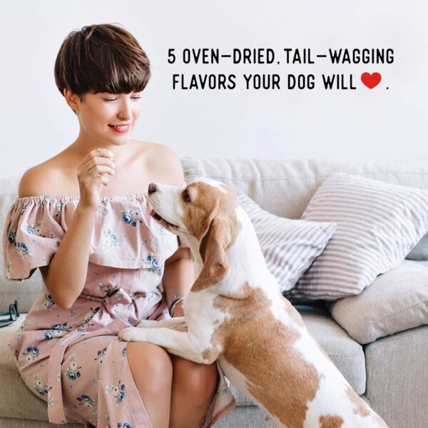 Farmland Traditions Dogs Love Chicken Premium Two Ingredients Jerky Treats for Dogs (3 lbs USA Raised Chicken) - Image 7