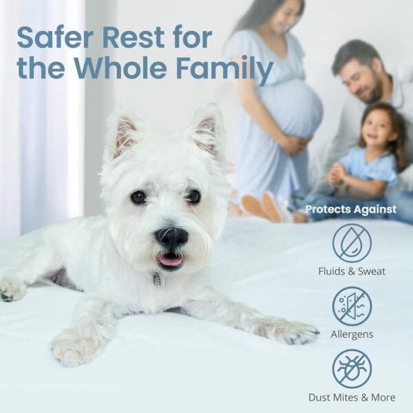 SafeRest 100% Waterproof Queen Size Mattress Protector - Fitted with Stretchable Pockets - Machine Washable Cotton Mattress Cover for Bed - Image 6