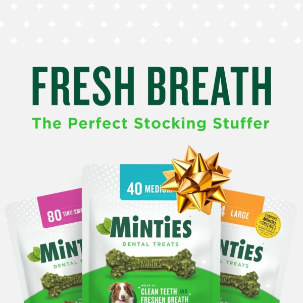 Minties Dental Chews for Dogs, 24 Count, Vet-Recommended Mint-Flavored Dental Treats for Large Dogs Over 50 lbs, Dental Bones Clean Teeth, Fight Bad Breath, and Removes Plaque and Tartar - Image 2