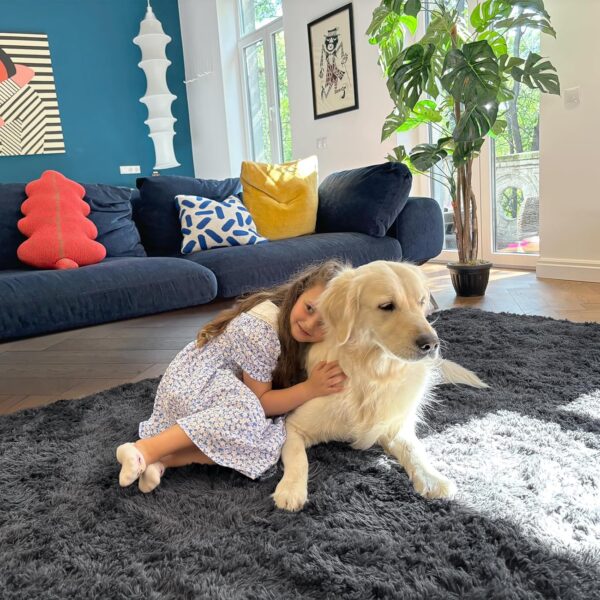 OLANLY Area Rugs for Living Room Bedroom, Machine Washable 4x5.9 Feet Soft Fluffy Shaggy Bedside Rug, Indoor Floor Carpet for Kids Girls and Boys, Dorms, Nursery Rooms, Home Decor Aesthetic, Grey - Image 5