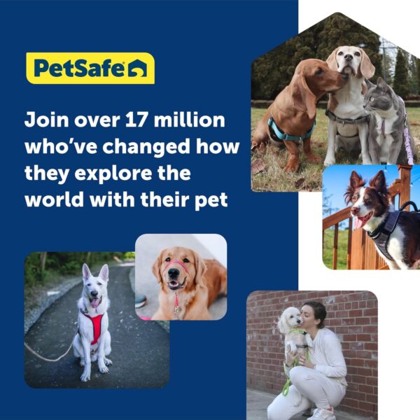 PetSafe Gentle Leader No-Pull Dog Headcollar - The Ultimate Solution to Pulling - Redirects Your Dog's Pulling for Easier Walks - Helps You Regain Control - Large, Apple Green - Image 6