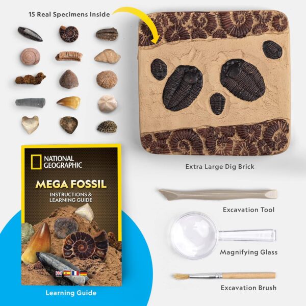 NATIONAL GEOGRAPHIC Mega Fossil Dig Kit - Excavate 15 Genuine Prehistoric Fossils, Kids Fossil Kit, Educational Toys, Great Science Kit Gift for Girls and Boys (Amazon Exclusive) - Image 6