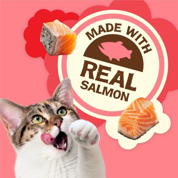 Purina Friskies Natural Cat Treats Party Mix Natural Yums With Real Salmon and Added Vitamins, Minerals and Nutrients - 20 oz. Canister - Image 3