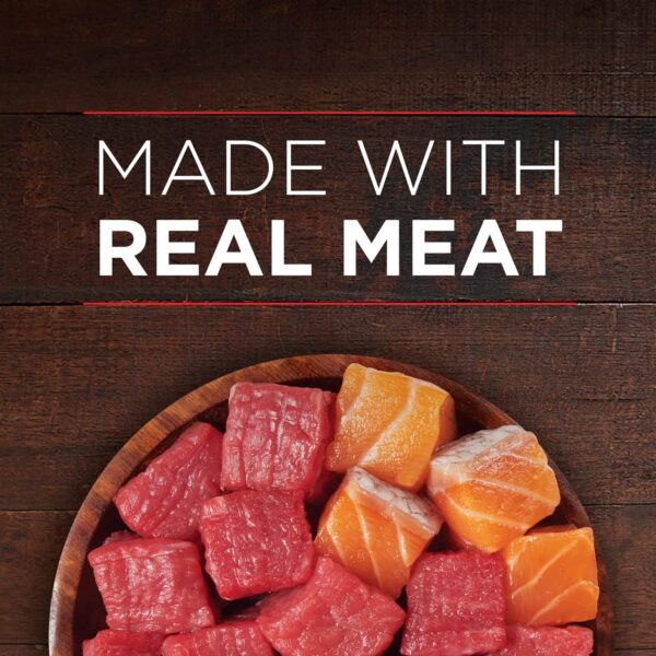 Purina ONE High Protein Wet Dog Food True Instinct Tender Cuts in Dog Food Gravy With Real Beef and Wild-Caught Salmon - (Pack of 12) 13 oz. Cans - Image 5