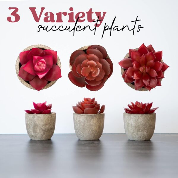 3 Artificial Succulents Plants Artificial Pot Small Fake Plants Bedroom Aesthetic Fake Succulent Plants - Cactus Decor Plants Bedroom Decor Potted Faux Succulents Desk Plant Shelf Decor Living Room - Image 6