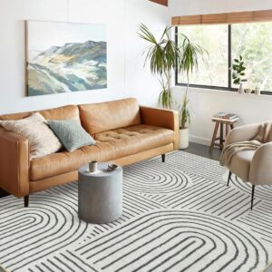 Lahome Abstract Washable Area Rug, 5x7 Rug for Bedroom Non-Slip Soft Living Room Rug, Ultra-Thin Modern Black and White Rug Stain Resistance Throw Large Carpet for Dining Room (5'x7',Black)
