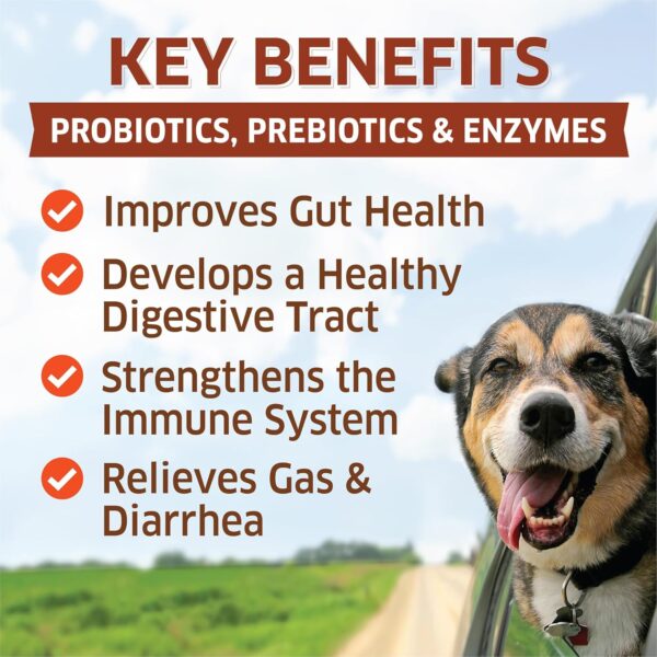 Probiotics for Dogs - Hot Spot Remedy for Dogs + Prebiotic - Dog Allergy Chews - Improve Digestion & Upset Tummy, Relieve Gas & Diarrhea, Dog Probiotics and Digestive Enzymes, 120 Dog Probiotic Chews - Image 2