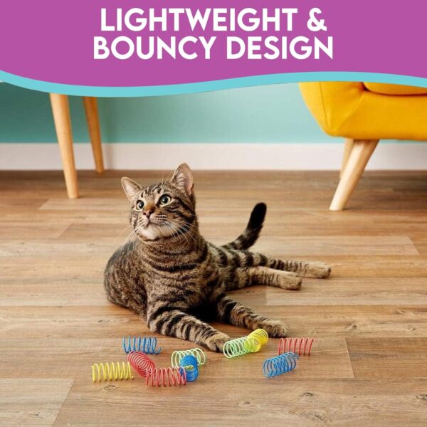 SPOT Thin Colorful Springs Cat Toy - Bouncy Toys for Medium Indoor Cat Breeds to Bite, Swat, Chase - Keeps Cats & Kittens Entertained for Hours - Includes Ten 3” Wide Spiral Springs, Assorted Colors - Image 5