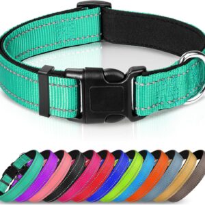 Joytale Reflective Dog Collar,Soft Neoprene Padded Breathable Nylon Pet Collar Adjustable for Large Dogs,Teal,L