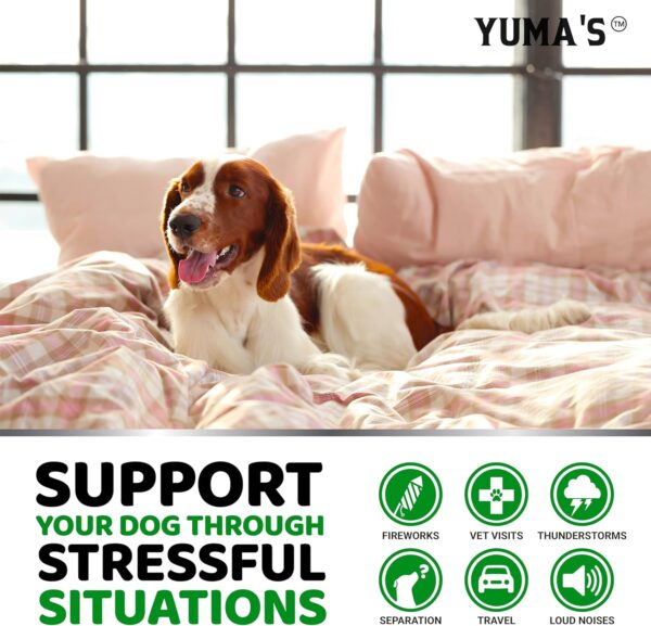 YUMA'S Hemp Calming Chews for Dogs - Advanced Dog Calming Treats - Dog Calming Chews - 170 Chews - Anxiety Relief Treats - Separation Aid, Barking, Stress Relief, Thunderstorms - Melatonin - Hemp Oil - Image 4