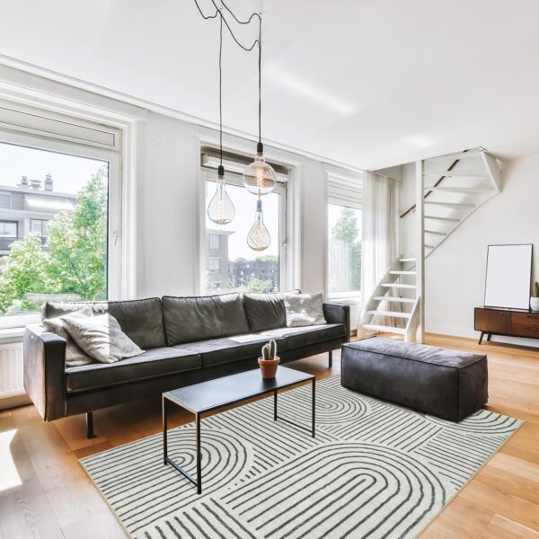 Lahome Abstract Washable Area Rug, 5x7 Rug for Bedroom Non-Slip Soft Living Room Rug, Ultra-Thin Modern Black and White Rug Stain Resistance Throw Large Carpet for Dining Room (5'x7',Black) - Image 5