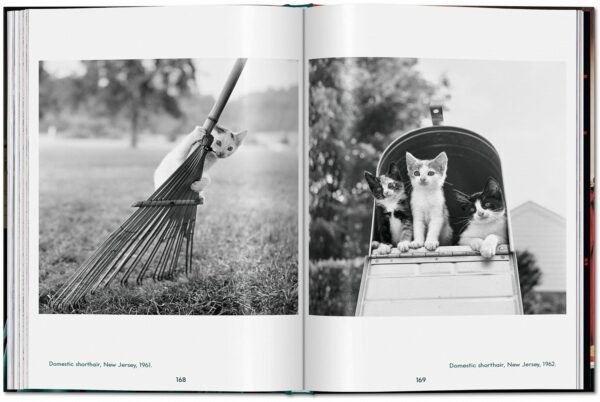 Cats: Photographs 1942-2018 - Image 7