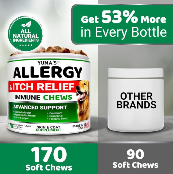 Dog Allergy Relief Chews - Dog Itching Skin Relief Treatment Pills - 170 Treats - Itchy and Paw Licking - Anti-Itch - Dry Skin & Hot Spots Omega 3 Fish Oil Skin & Coat Supplement - Beef Liver Flavor - Image 5