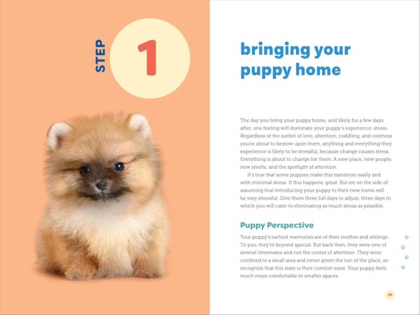 Puppy Training in 7 Easy Steps: Everything You Need to Know to Raise the Perfect Dog - Image 4