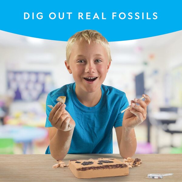 NATIONAL GEOGRAPHIC Mega Fossil Dig Kit - Excavate 15 Genuine Prehistoric Fossils, Kids Fossil Kit, Educational Toys, Great Science Kit Gift for Girls and Boys (Amazon Exclusive) - Image 2