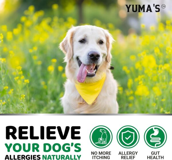 Dog Allergy Relief Chews - Dog Itching Skin Relief Treatment Pills - 170 Treats - Itchy and Paw Licking - Anti-Itch - Dry Skin & Hot Spots Omega 3 Fish Oil Skin & Coat Supplement - Beef Liver Flavor - Image 4