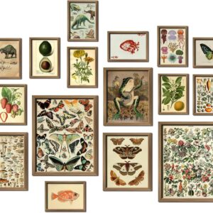 ANERZA 16 PCS Framed Vintage Wall Art Decor, Cottagecore Wall Prints for Bedroom, Gallery Wall Frame Set, Farmhouse Posters for Living Room Aesthetic, Wall Collage Kit Pictures, Rustic Dorm Home Decor