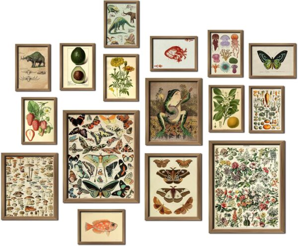 ANERZA 16 PCS Framed Vintage Wall Art Decor, Cottagecore Wall Prints for Bedroom, Gallery Wall Frame Set, Farmhouse Posters for Living Room Aesthetic, Wall Collage Kit Pictures, Rustic Dorm Home Decor
