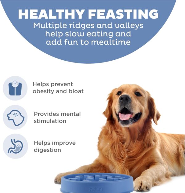 Outward Hound Fun Feeder Slo Bowl, Slow Feeder Dog Bowl, Large/Regular, Blue - Image 2