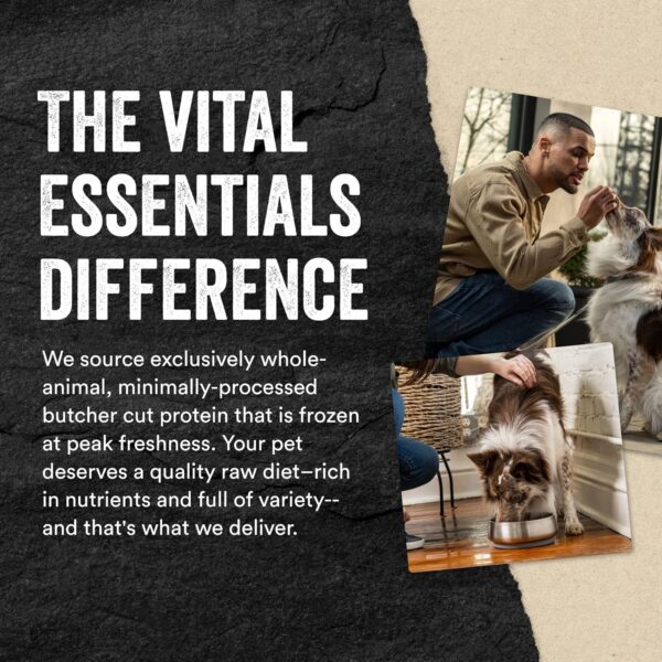 Vital Essentials Freeze Dried Raw Single Ingredient Dog Treats, Beef Liver, 2.1 oz - Image 6