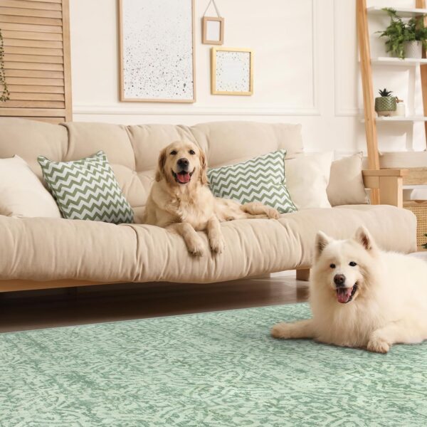 Lahome Sage Green Living Room Rug, Boho Area Rugs 5x7 Soft Green Rug Washable Large Stain Resistant Area Rug Non Slip Indoor Floor Carpet for Bedroom Living Dining Room Decor - Image 3