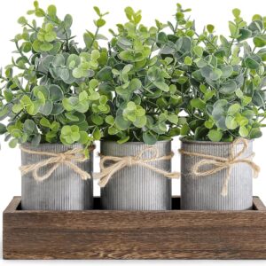 Dahey Centerpiece Table Decorations Coffee Table Decor Wood Tray 3 Galvanized Pots with Artificial Eucalyptus Plants Farmhouse Decor Table Centerpieces for Dinning Living Room Bath Kitchen, Brown