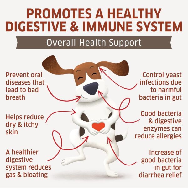 Probiotics for Dogs - Hot Spot Remedy for Dogs + Prebiotic - Dog Allergy Chews - Improve Digestion & Upset Tummy, Relieve Gas & Diarrhea, Dog Probiotics and Digestive Enzymes, 120 Dog Probiotic Chews - Image 3