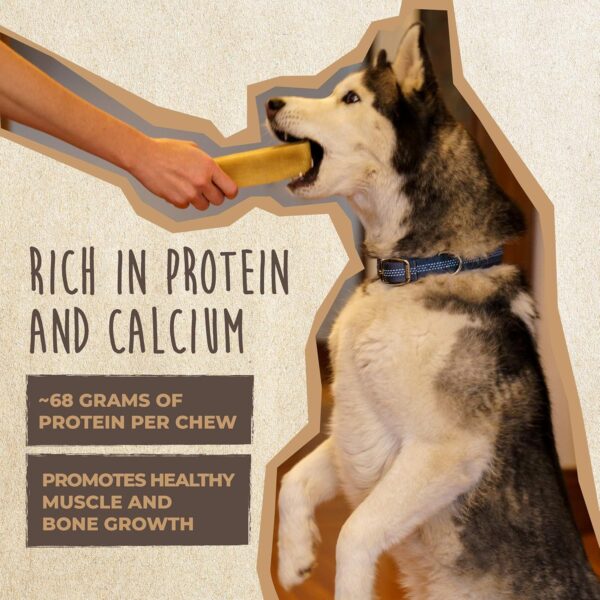 Mighty Paw Yak Cheese Chews for Dogs | All-Natural Long Lasting Pet Treats. Odorless and Great for Oral Health. Limited-Ingredient Chews for Puppies & Power-Chewers (Monster, 1 Pack) - Image 6