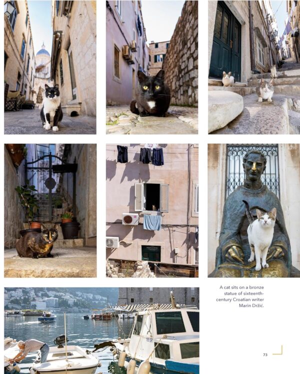 Cats of the World - Image 4