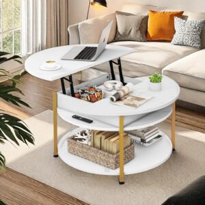 DWVO Round Coffee Table for Living Room, Lift Top Coffee Table with Hidden Compartment, Modern Coffee Table with Storage for Home Office Living Room (Marble White)