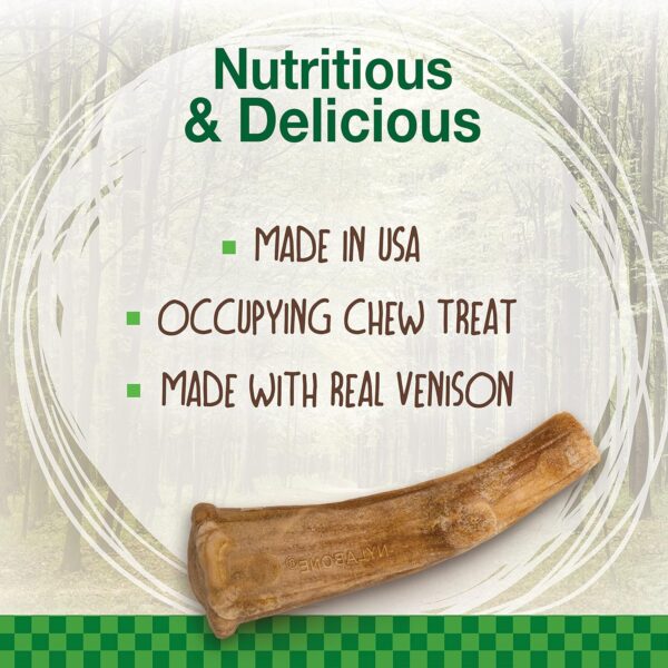 Nylabone Healthy Edibles WILD Antler Natural Long Lasting Venison Flavor Dog Chew Treats Medium/Wolf (2 Count) - Image 2
