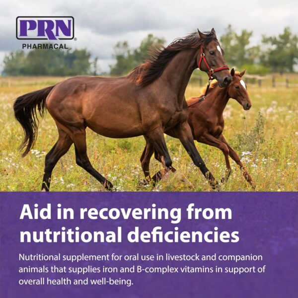 PRN Pharmacal Liqui-Tinic 4X - Iron & Vitamins Oral Nutritional Supplement for Pets- Liver-Flavored Supplement with Iron & B-Complex Vitamins to Support Wellness - 1 Gallon - Image 5