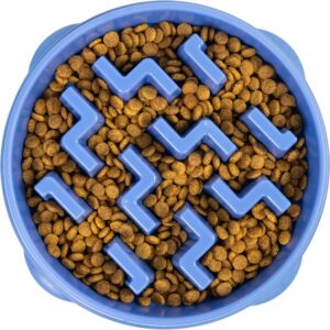 Outward Hound Fun Feeder Slo Bowl, Slow Feeder Dog Bowl, Large/Regular, Blue