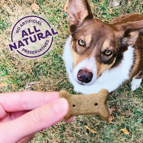 Old Mother Hubbard by Wellness Classic Original Mix Natural Dog Treats, Crunchy Oven-Baked Biscuits, Ideal for Training, Small Size, 6 pound bag - Image 4